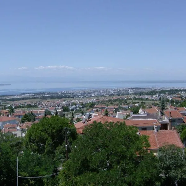Дом в Аристотелус, фото 1