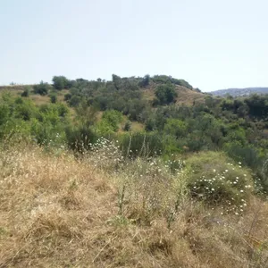Земельный участок в Ситониа, фото 5
