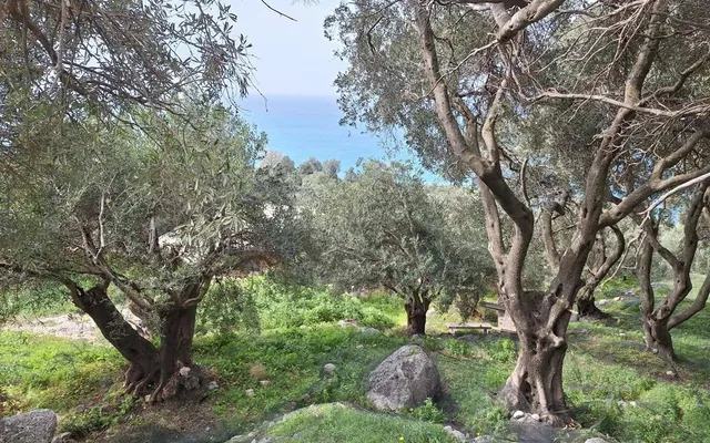 Земельный участок в Corfu