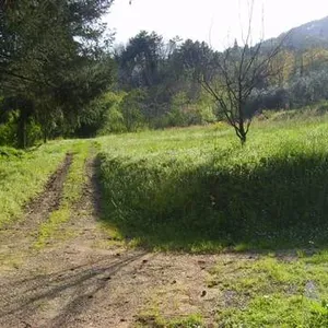 Отдельный дом в Капаннори, фото 5