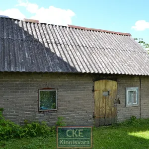 Квартира в Колкья, фото 5