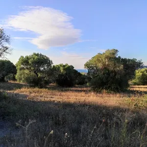 Земельный участок в Kassandra Municipality, фото 3