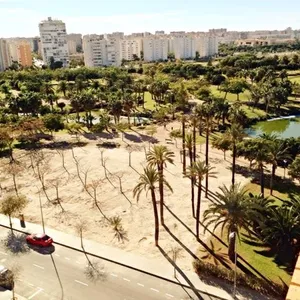 Квартира в Аликанте, фото 4