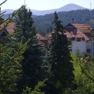 Студия в Златибор, фото 3