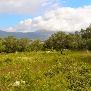 Земельный участок в Corfu, фото 3