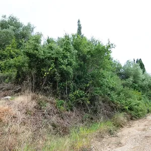 Земельный участок в Corfu, фото 2