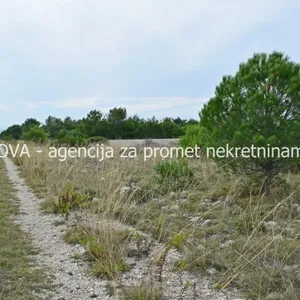 Земельный участок в Вир, фото 3