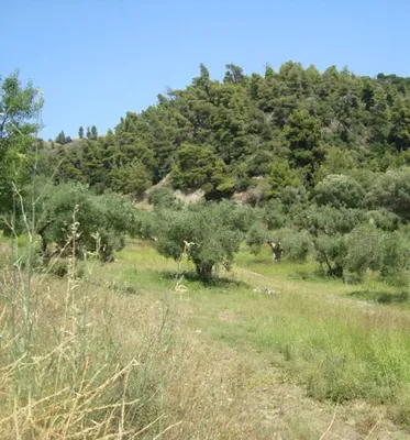 Земельный участок в Kassandra Municipality