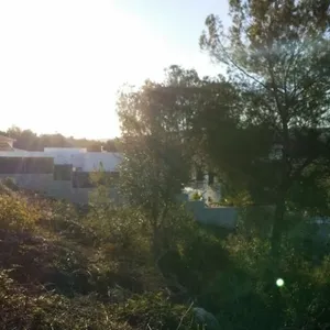 Земельный участок в Хавеа, фото 4