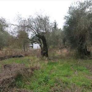 Земельный участок в Corfu, фото 4