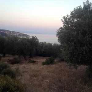 Земельный участок в Aristotle University of Thessaloniki, фото 3