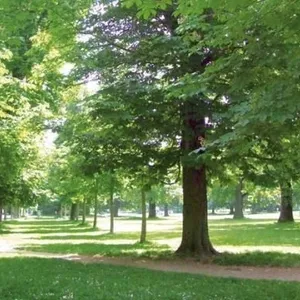 Квартира в Мюнхен, фото 2