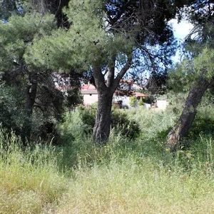Земельный участок в Kassandra Municipality, фото 2