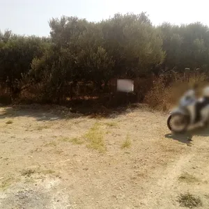 Земельный участок в Гази, фото 2