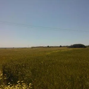 Земельный участок в Эгейские острова, фото 2
