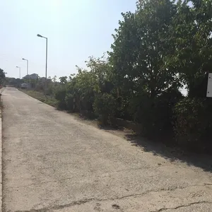 Дом в Кошарица, фото 3