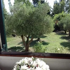 Отдельный дом в Ситониа, фото 4