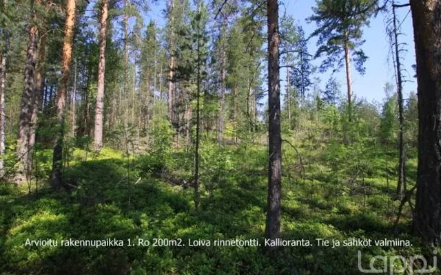 Земельный участок в Савонлинна