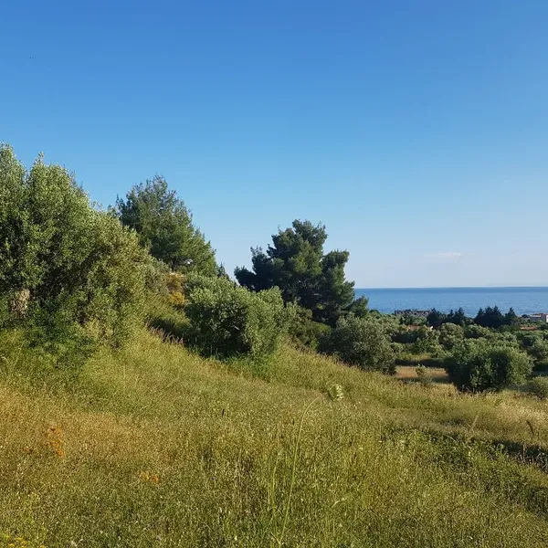 Земельный участок в Kassandra Municipality, фото 2