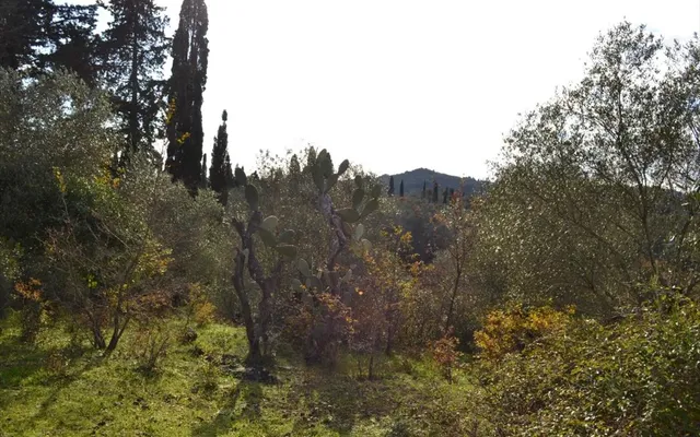 Земельный участок в Corfu