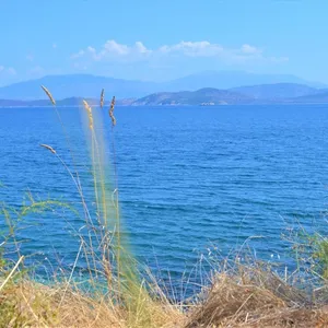 Земельный участок в Corfu, фото 2
