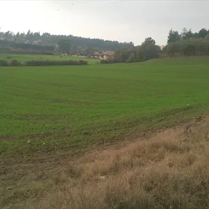 Земельный участок в Kassandra Municipality, фото 5