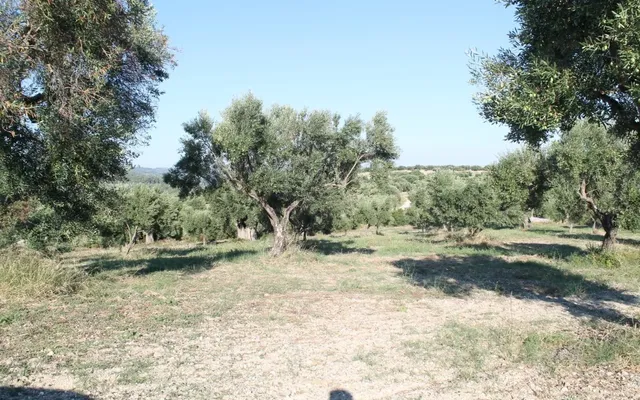 Земельный участок в Kassandra Municipality