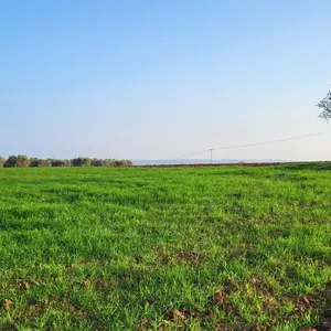 Земельный участок в Kassandra Municipality, фото 3