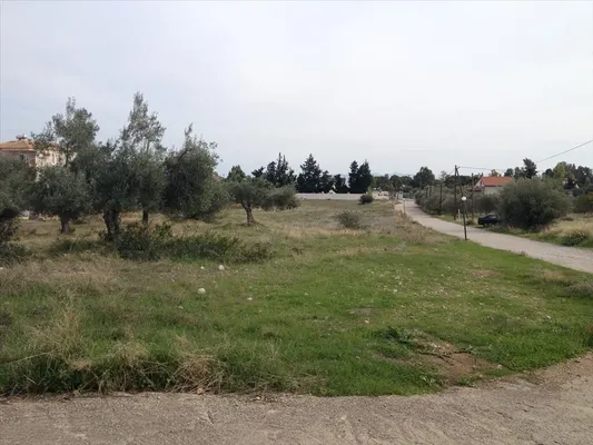 Земельный участок в Agioi Theodoroi