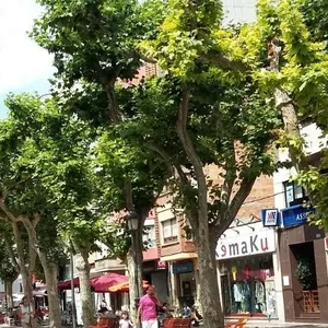 Квартира в Эль Верхель, фото 3