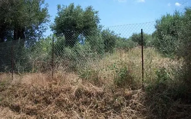 Земельный участок в Музаки