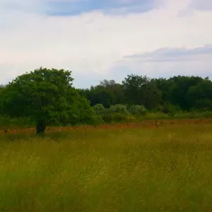 Квартира в Пула, фото 3