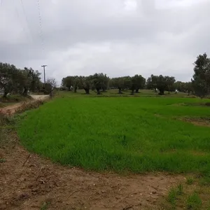 Земельный участок в Kassandra Municipality, фото 2