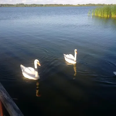 Дом в Лудза