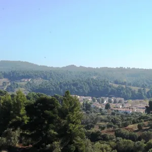 Земельный участок в Kassandra Municipality, фото 2
