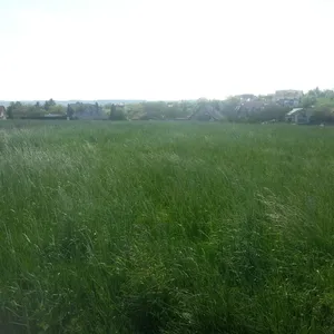 Земельный участок в Кестхей, фото 2