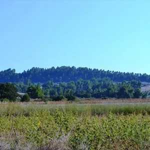 Земельный участок в Kassandra Municipality, фото 4