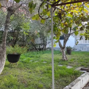 Отдельный дом в Kassandra Municipality, фото 5