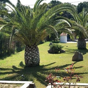 Вилла в Македония и Фракия, фото 2