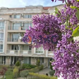 Квартира в Несебр, фото 2