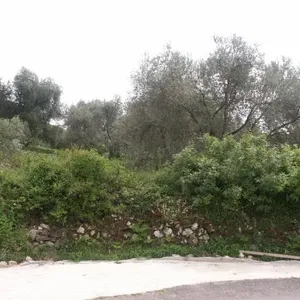 Земельный участок в Бар, фото 3
