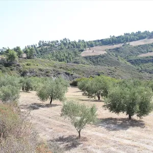 Земельный участок в Kassandra Municipality, фото 5