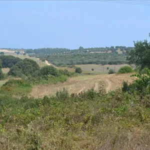 Земельный участок в Kassandra Municipality, фото 3