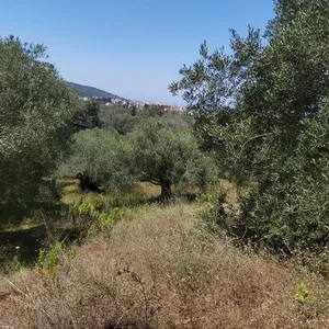 Земельный участок в Corfu, фото 3