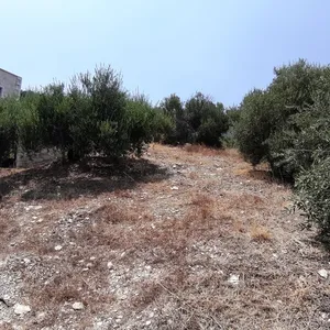 Земельный участок в Гази, фото 4