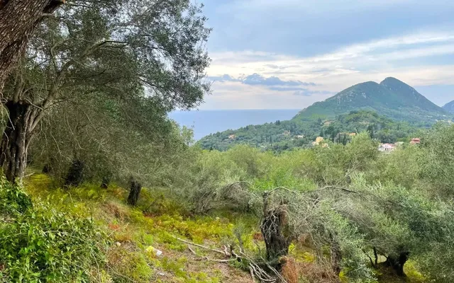 Земельный участок в Corfu
