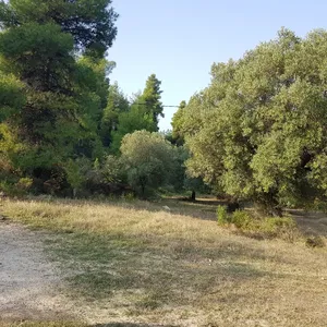 Земельный участок в Kassandra Municipality, фото 2