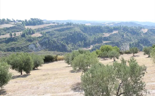 Земельный участок в Kassandra Municipality