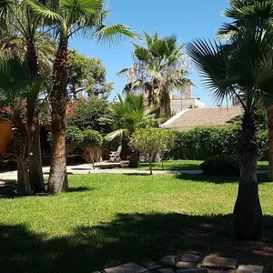 Вилла в Аликанте, фото 2