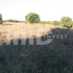 Земельный участок в Каллифея (Кассандра), фото 3